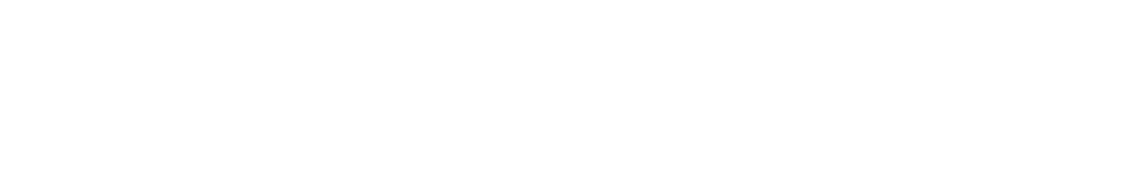 Venesal-logo-b